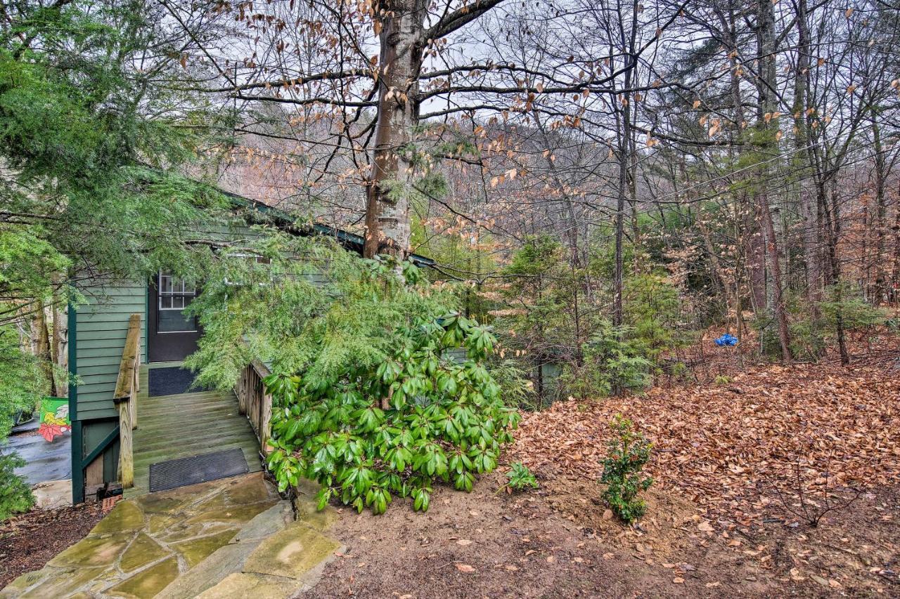 Appalachian Mountain Retreat 6 Mi To Asheville! Εξωτερικό φωτογραφία