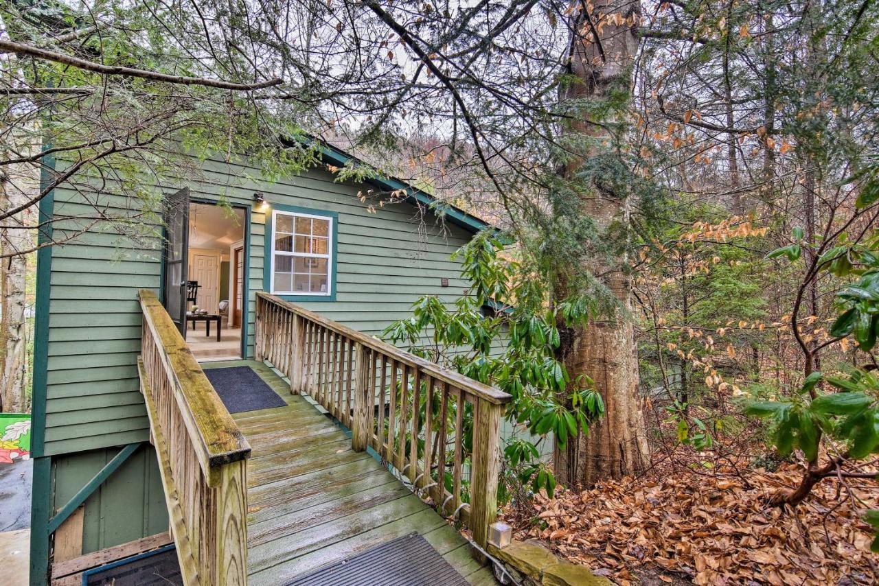 Appalachian Mountain Retreat 6 Mi To Asheville! Εξωτερικό φωτογραφία